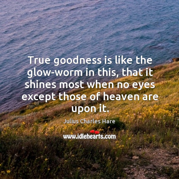 True goodness is like the glow-worm in this, that it shines most Julius Charles Hare Picture Quote