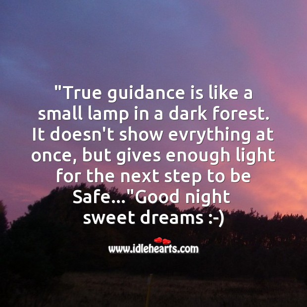True guidance is like a small lamp in a dark forest. Good Night Quotes Image