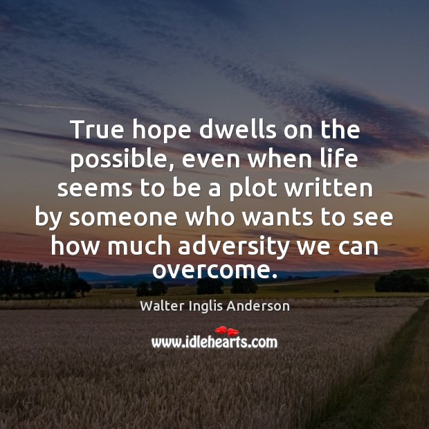 True hope dwells on the possible, even when life seems to be Walter Inglis Anderson Picture Quote
