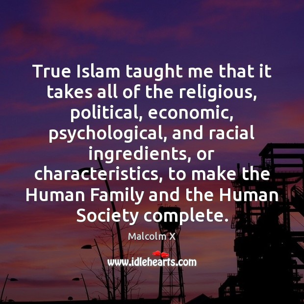 True Islam taught me that it takes all of the religious, political, Malcolm X Picture Quote