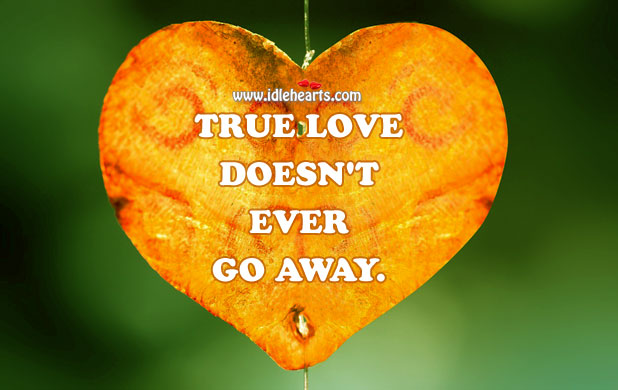 True love doesn’t ever go away. 