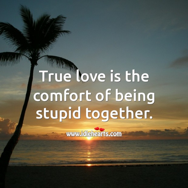 True love is the comfort of being stupid together. True Love Quotes Image
