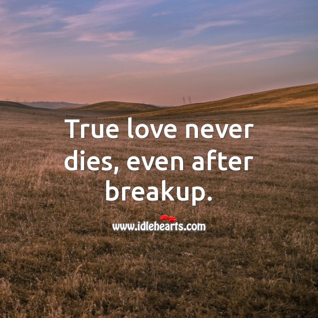 True love never dies, even after breakup. True Love Quotes Image
