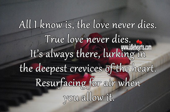 All I know is, the love never dies. True love never dies. True Love Quotes Image