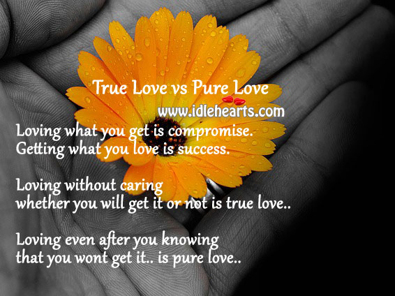 True love vs pure love Care Quotes Image