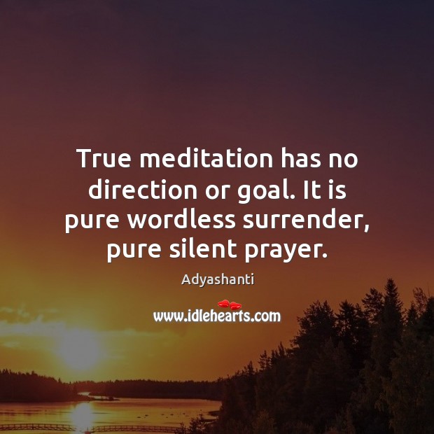 True meditation has no direction or goal. It is pure wordless surrender, Adyashanti Picture Quote
