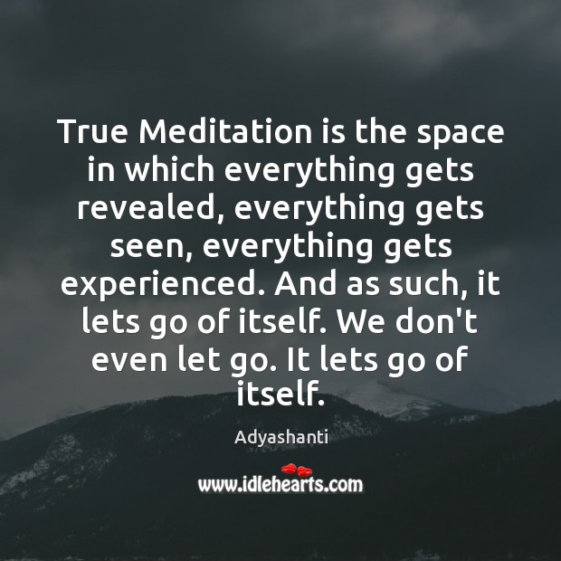 True Meditation is the space in which everything gets revealed, everything gets Adyashanti Picture Quote