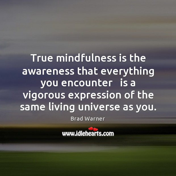 True mindfulness is the awareness that everything you encounter   is a vigorous Brad Warner Picture Quote
