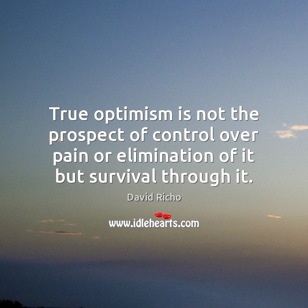 True optimism is not the prospect of control over pain or elimination David Richo Picture Quote