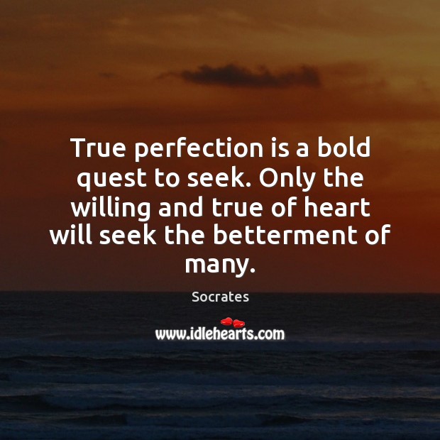 True perfection is a bold quest to seek. Only the willing and Socrates Picture Quote
