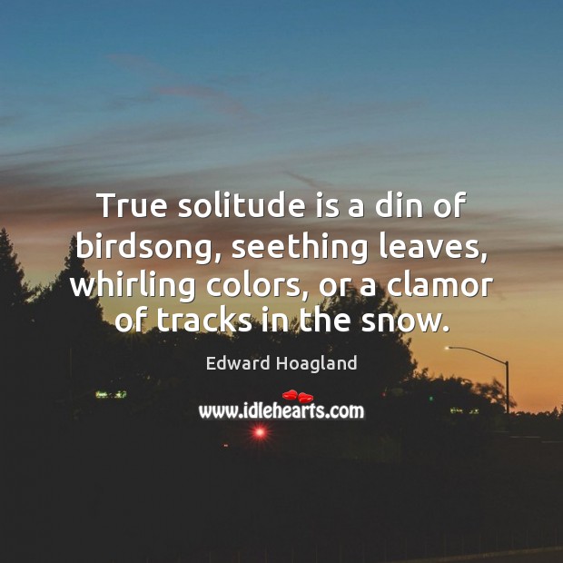 True solitude is a din of birdsong, seething leaves, whirling colors, or Image