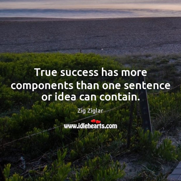 True success has more components than one sentence or idea can contain. Zig Ziglar Picture Quote