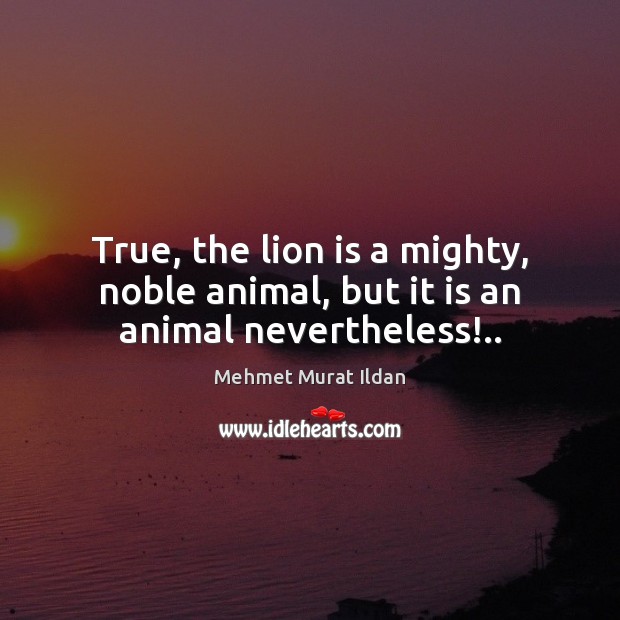 True, the lion is a mighty, noble animal, but it is an animal nevertheless!.. Mehmet Murat Ildan Picture Quote