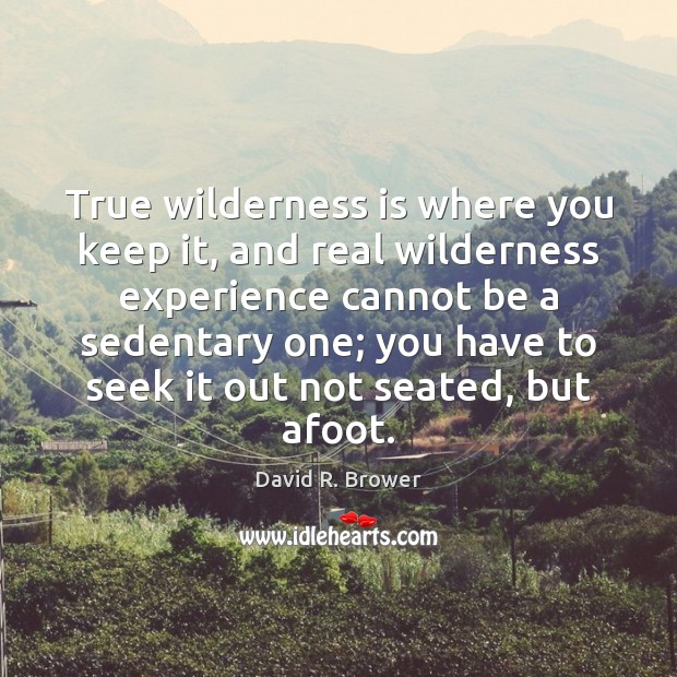 True wilderness is where you keep it, and real wilderness experience cannot Image