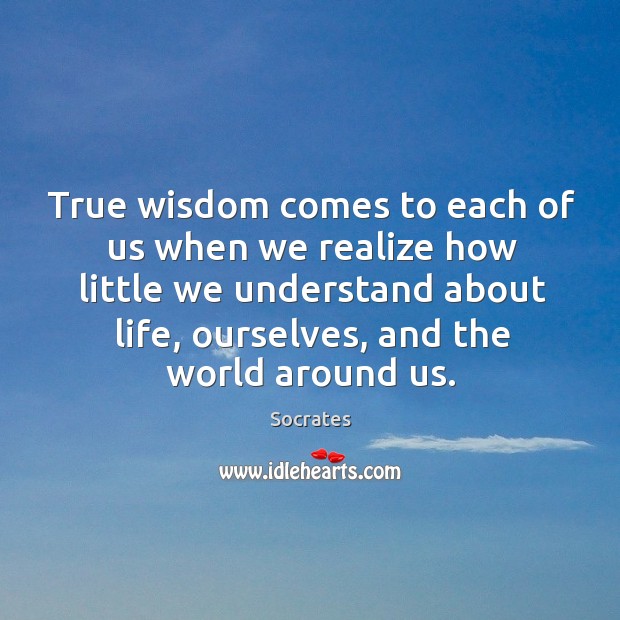 True wisdom comes to each of us when we realize how little we understand about life Image
