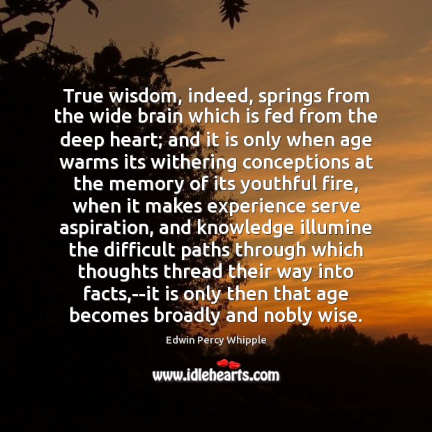 True wisdom, indeed, springs from the wide brain which is fed from Edwin Percy Whipple Picture Quote