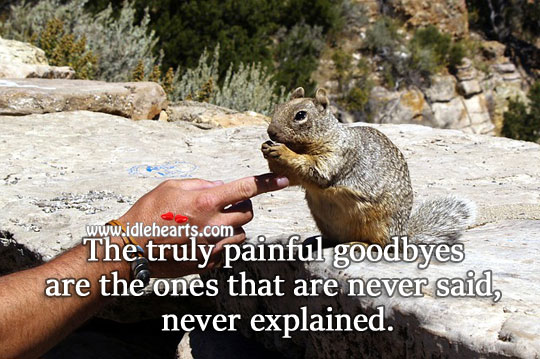 Truly painful goodbyes Sad Quotes Image