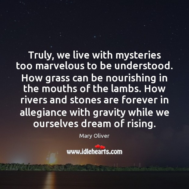 Truly, we live with mysteries too marvelous to be understood. How grass Mary Oliver Picture Quote