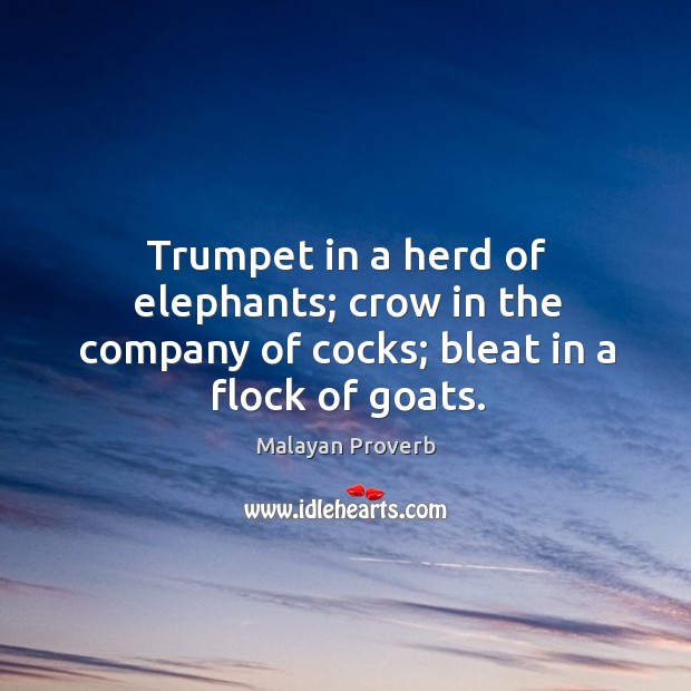 Trumpet in a herd of elephants; crow in the company of cocks; bleat in a flock of goats. Malayan Proverbs Image