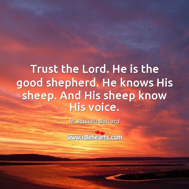 Trust the Lord. He is the good shepherd. He knows His sheep. And His sheep know His voice. Image