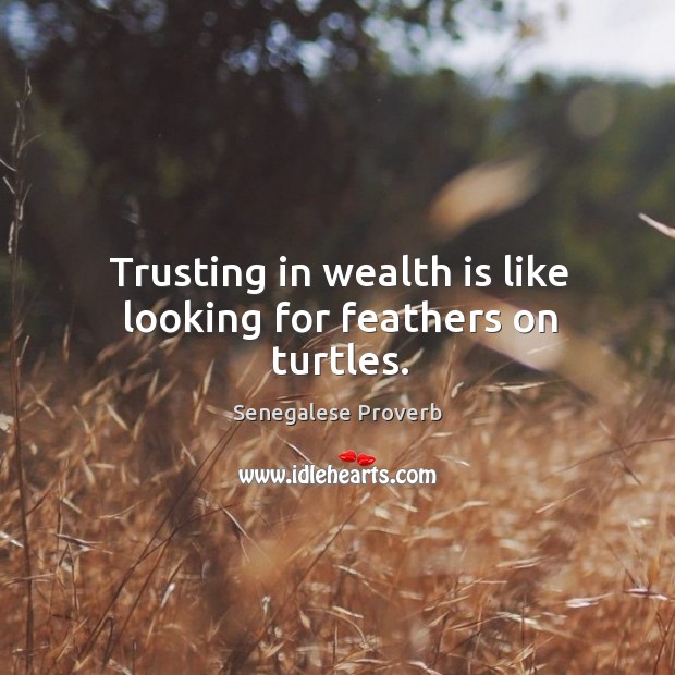 Trusting in wealth is like looking for feathers on turtles. Senegalese Proverbs Image