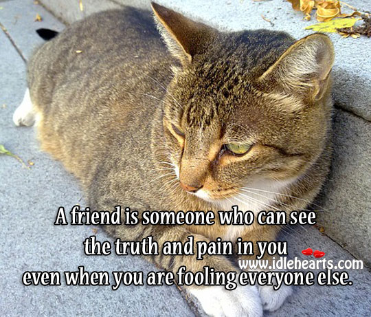 A friend can see the truth and pain in you Image
