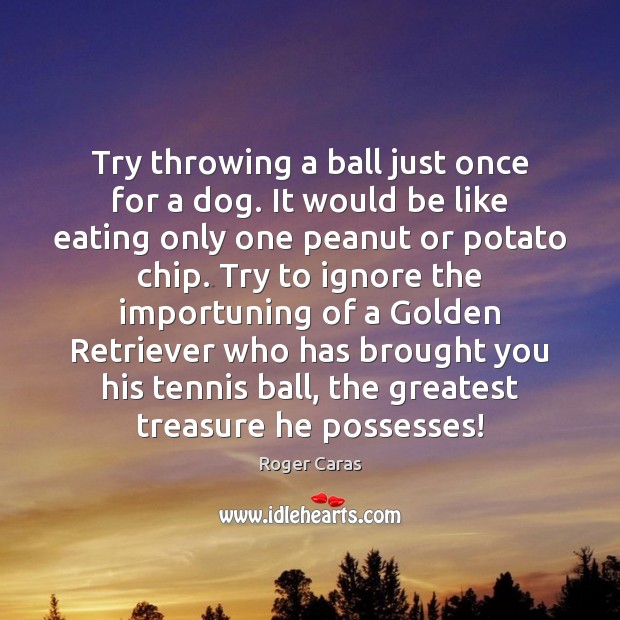 Try throwing a ball just once for a dog. It would be Image