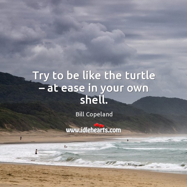 Try to be like the turtle – at ease in your own shell. Image