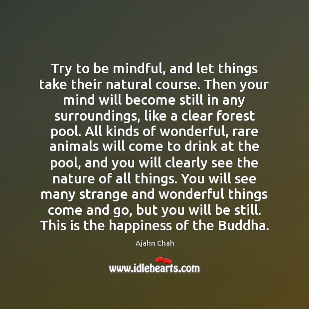 Try to be mindful, and let things take their natural course. Then Image
