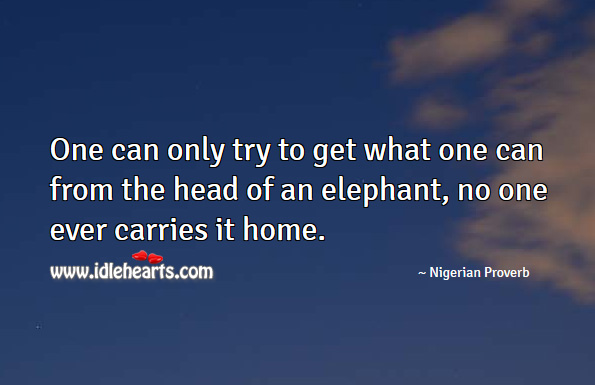 One can only try to get what one can from the head of an elephant, no one ever carries it home. Nigerian Proverbs Image
