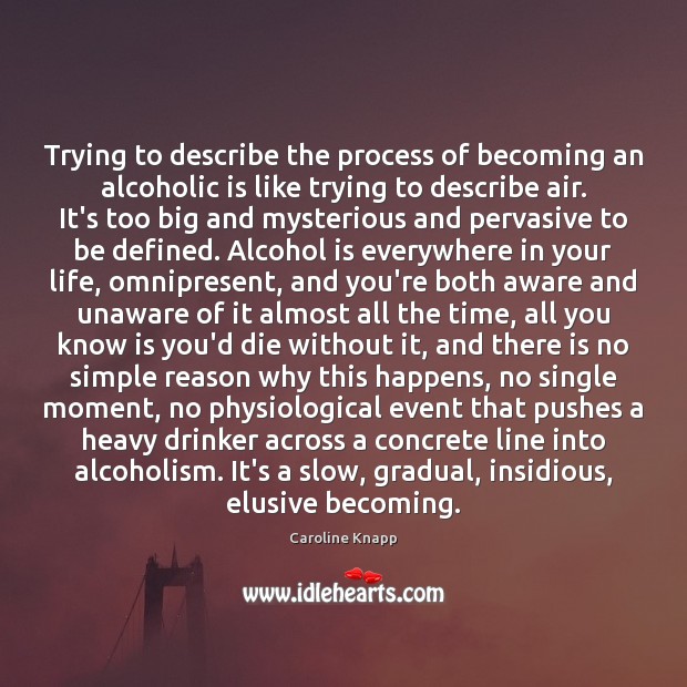 Trying to describe the process of becoming an alcoholic is like trying Alcohol Quotes Image