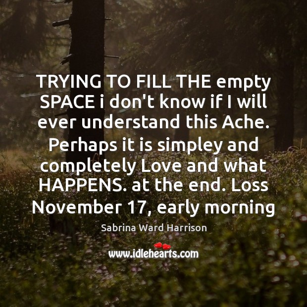 TRYING TO FILL THE empty SPACE i don’t know if I will Sabrina Ward Harrison Picture Quote