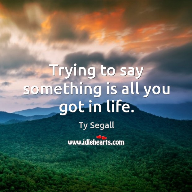 Trying to say something is all you got in life. Ty Segall Picture Quote