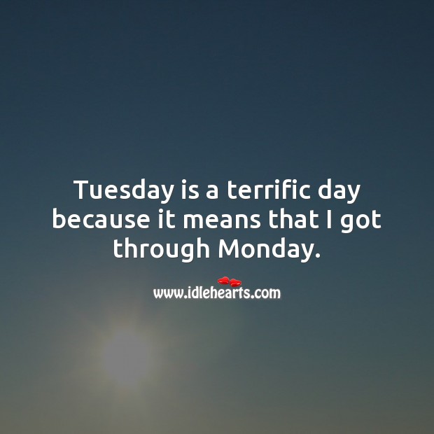 Tuesday is a terrific day because it means that I got through Monday. Tuesday Quotes Image