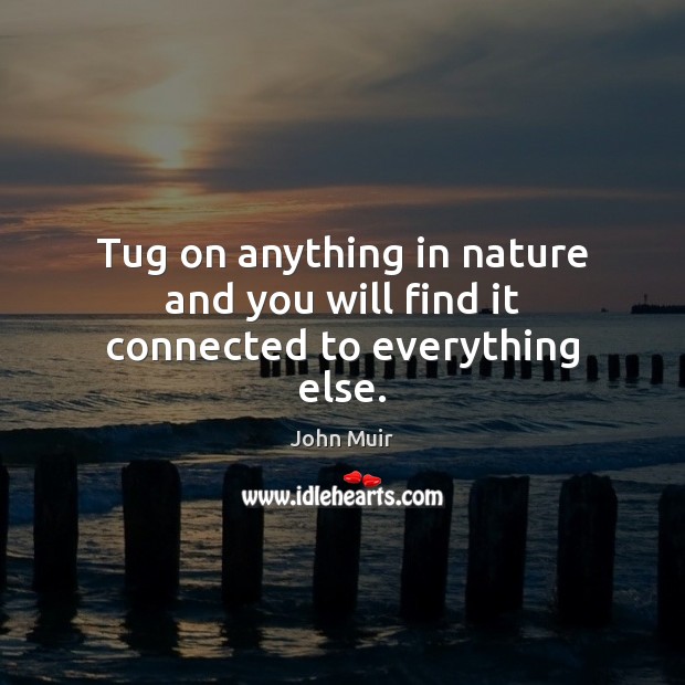Tug on anything in nature and you will find it connected to everything else. Image