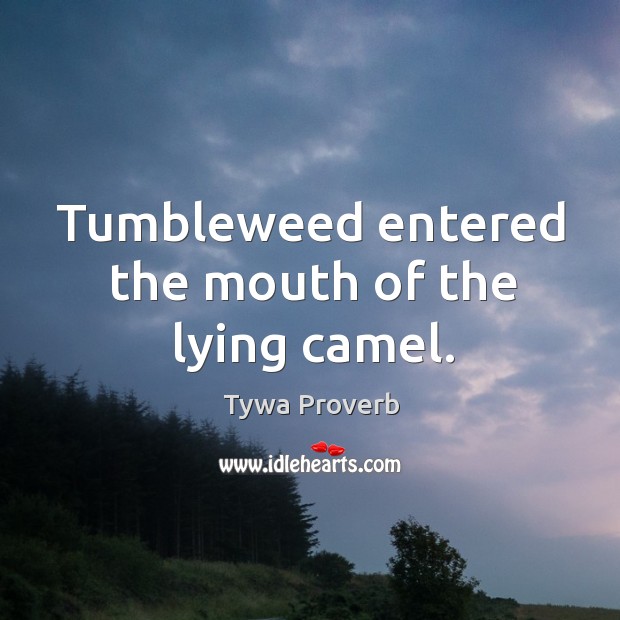 Tumbleweed entered the mouth of the lying camel. Tywa Proverbs Image