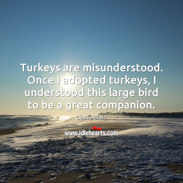 Turkeys are misunderstood. Once I adopted turkeys, I understood this large bird Linda Blair Picture Quote