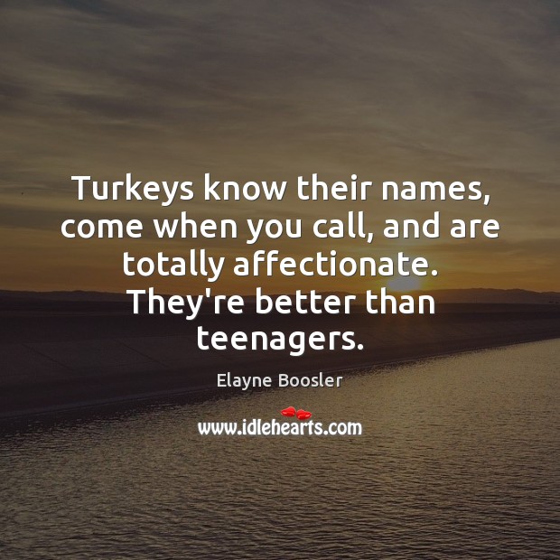 Turkeys know their names, come when you call, and are totally affectionate. Elayne Boosler Picture Quote