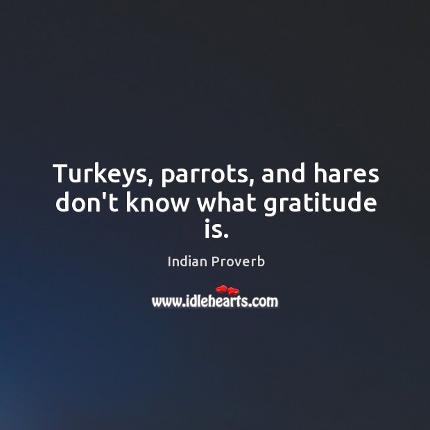 Turkeys, parrots, and hares don’t know what gratitude is. Indian Proverbs Image