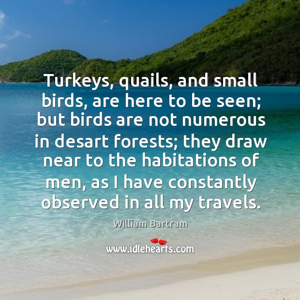 Turkeys, quails, and small birds, are here to be seen; but birds are not numerous in desart William Bartram Picture Quote