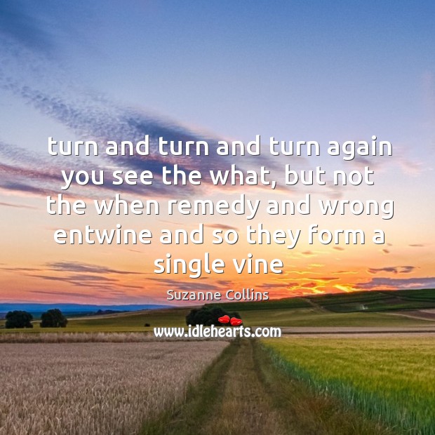 Turn and turn and turn again you see the what, but not Suzanne Collins Picture Quote