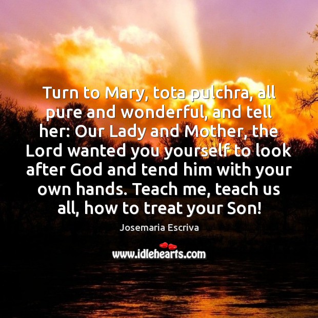 Turn to Mary, tota pulchra, all pure and wonderful, and tell her: Josemaria Escriva Picture Quote