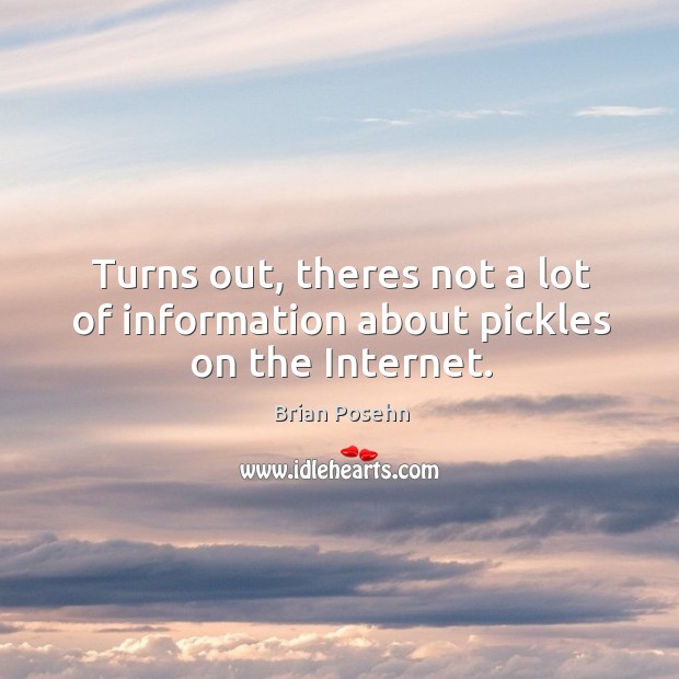 Turns out, theres not a lot of information about pickles on the Internet. Brian Posehn Picture Quote