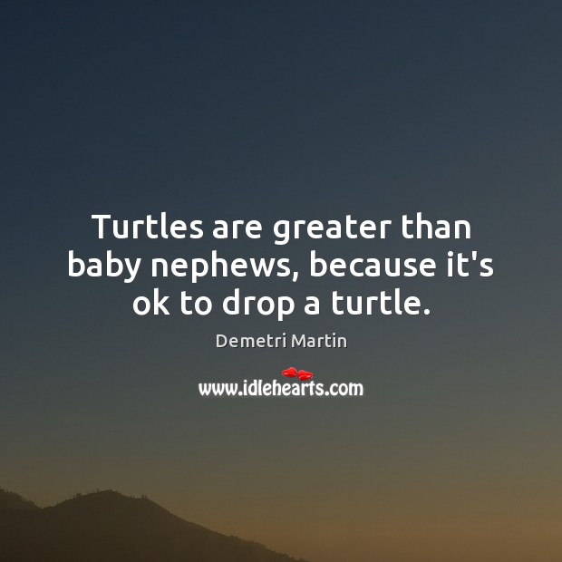 Turtles are greater than baby nephews, because it’s ok to drop a turtle. Demetri Martin Picture Quote