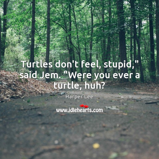 Turtles don’t feel, stupid,” said Jem. “Were you ever a turtle, huh? Harper Lee Picture Quote