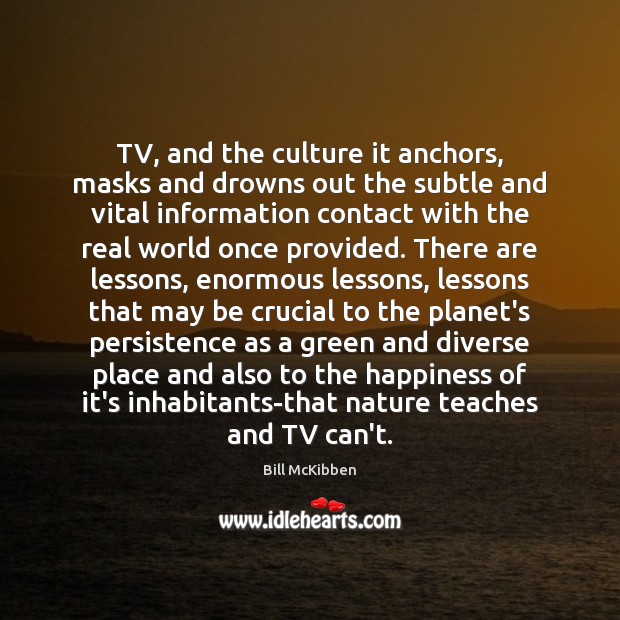TV, and the culture it anchors, masks and drowns out the subtle Bill McKibben Picture Quote