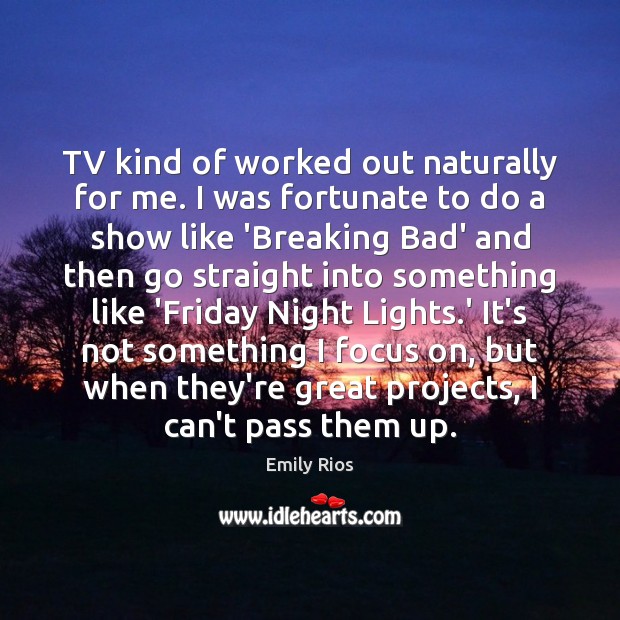 TV kind of worked out naturally for me. I was fortunate to Emily Rios Picture Quote