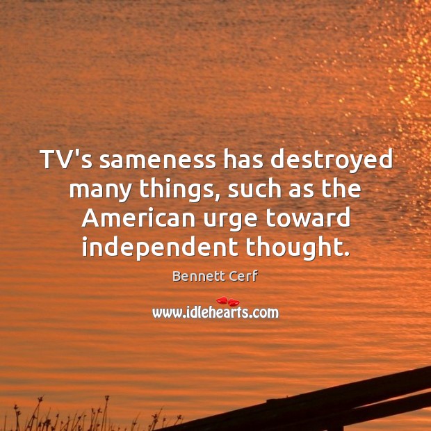 TV’s sameness has destroyed many things, such as the American urge toward Image