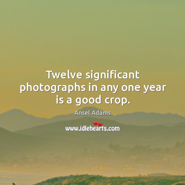 Twelve significant photographs in any one year is a good crop. Ansel Adams Picture Quote