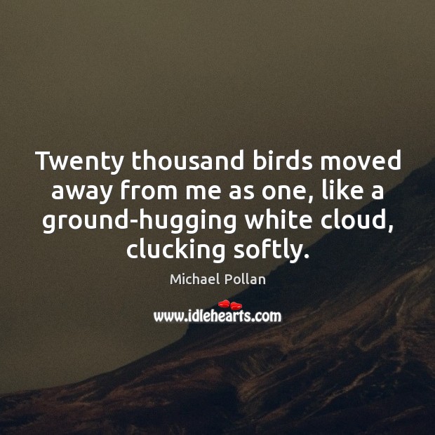 Twenty thousand birds moved away from me as one, like a ground-hugging Michael Pollan Picture Quote